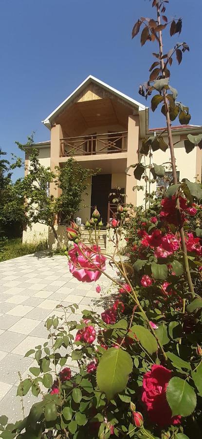 Gabala Sweet Home Dış mekan fotoğraf