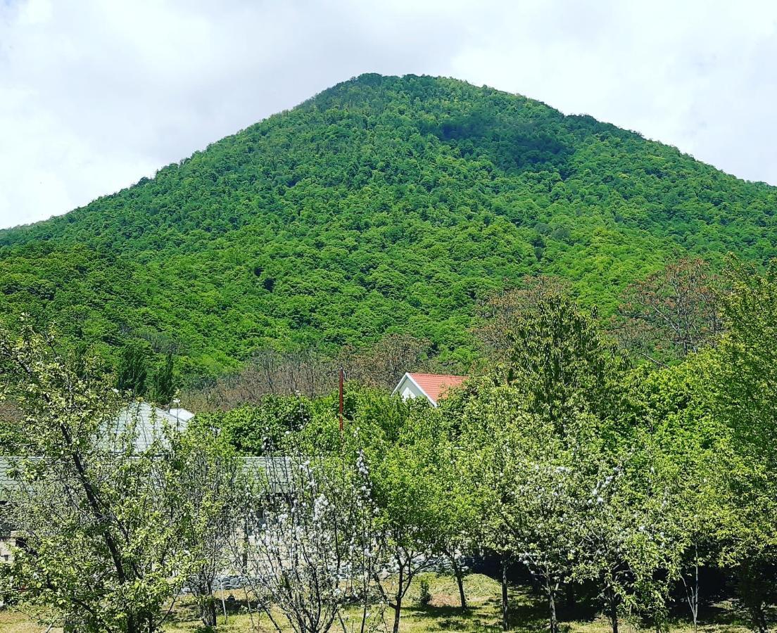Gabala Sweet Home Dış mekan fotoğraf
