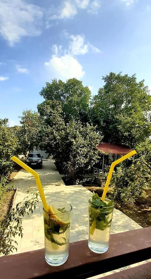 Gabala Sweet Home Dış mekan fotoğraf