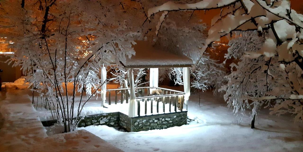 Gabala Sweet Home Dış mekan fotoğraf