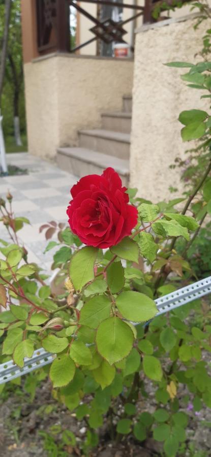 Gabala Sweet Home Dış mekan fotoğraf